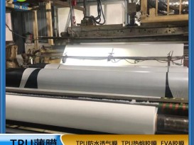 tpu膜白色霧面防水透氣膜復(fù)合布料紡織移印 等功能性薄膜廠家直銷